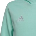 Adidas teamwear Bluza dla dzieci adidas Entrada 22 Hoody miętowa HC5066