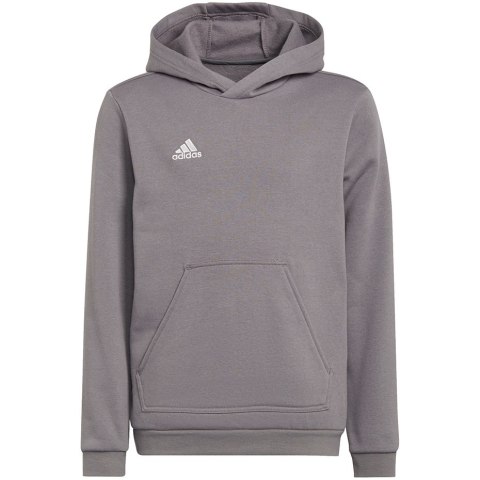 Adidas teamwear Bluza dla dzieci adidas Entrada 22 Hoody szara H57515