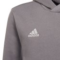 Adidas teamwear Bluza dla dzieci adidas Entrada 22 Hoody szara H57515