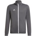 Adidas teamwear Bluza dla dzieci adidas Entrada 22 Track Jacket szara H57521