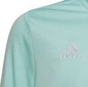 Adidas teamwear Bluza dla dzieci adidas Entrada 22 Training Top miętowa HC5056