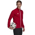 Adidas teamwear Bluza męska adidas Entrada 22 Track Jacket czerwona H57537