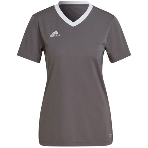 Adidas teamwear Koszulka damska adidas Entrada 22 Jsy szara H59848