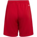 Adidas teamwear Spodenki dla dzieci adidas Entrada 22 czerwone H57501