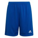 Adidas teamwear Spodenki dla dzieci adidas Entrada 22 niebieskie HG6291