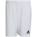 Adidas teamwear Spodenki męskie adidas Entrada 22 białe HG6295