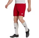 Adidas teamwear Spodenki męskie adidas Entrada 22 czerwone H61735