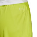 Adidas teamwear Spodenki męskie adidas Entrada 22 limonkowe HC5061