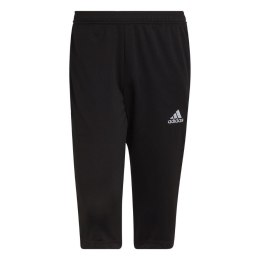 Adidas teamwear Spodnie męskie adidas Entrada 22 3/4 czarne HB0576