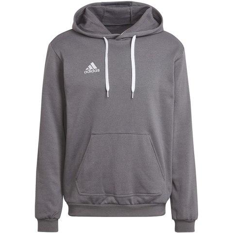 Adidas teamwear Bluza męska adidas Entrada 22 Hoody szara HB0578