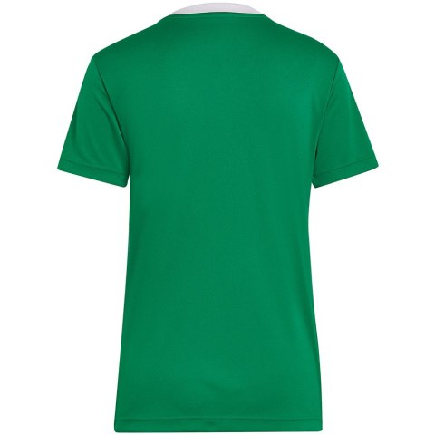 Adidas teamwear Koszulka damska adidas Entrada 22 Jersey zielona HI2124 Adidas teamwear Koszulka damska adidas Entrada 22 Jersey zielona HI2124