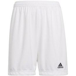 Adidas teamwear Spodenki dla dzieci adidas Entrada 22 białe HG6292