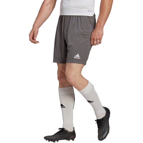 Adidas teamwear Spodenki męskie adidas Entrada 22 szare H57505 Adidas teamwear Spodenki męskie adidas Entrada 22 szare H57505