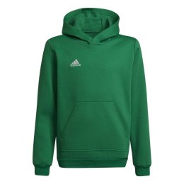 Adidas teamwear Bluza dla dzieci adidas Entrada 22 Hoody zielona HI2143