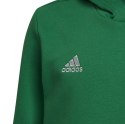 Adidas teamwear Bluza dla dzieci adidas Entrada 22 Hoody zielona HI2143