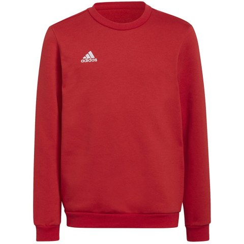 Adidas teamwear Bluza dla dzieci adidas Entrada 22 Sweat Top czerwona H57473