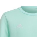 Adidas teamwear Bluza dla dzieci adidas Entrada 22 Sweat Top miętowa HC5042