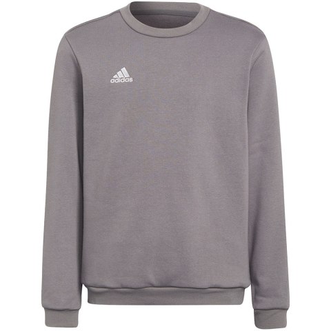 Adidas teamwear Bluza dla dzieci adidas Entrada 22 Sweat Top szara H57477