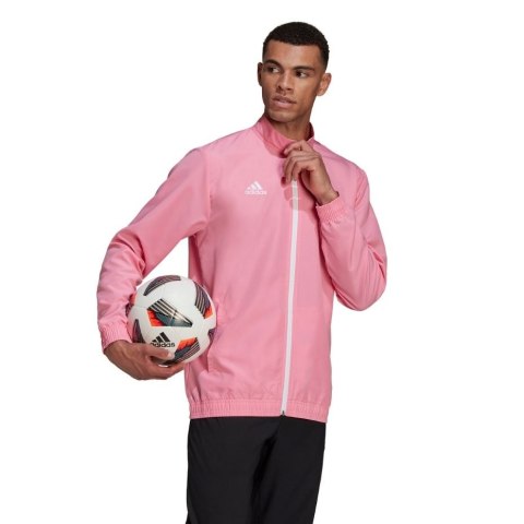Adidas teamwear Bluza męska adidas Entrada 22 Presentation Jacket różowa HC5040 Adidas teamwear Bluza męska adidas Entrada 22 Presentation Jacket różowa HC5040