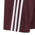 Adidas teamwear Spodenki dla dzieci adidas Squadra 21 Short bordowe GN8081