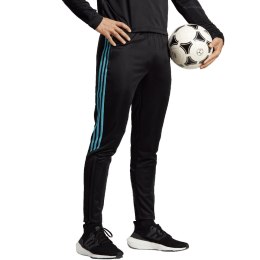 Adidas Spodnie męskie adidas Tiro 23 Club Training Tracksuit Bottoms czarno-niebieskie IC1586