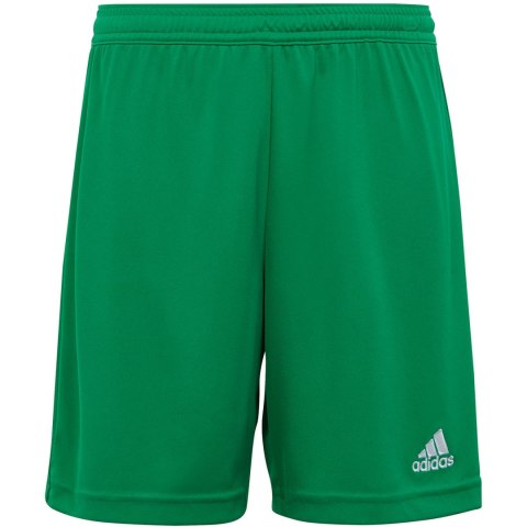 Adidas teamwear Spodenki dla dzieci adidas Entrada 22 zielone IC7410