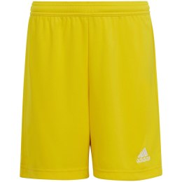 Adidas teamwear Spodenki dla dzieci adidas Entrada 22 żółte IC7411