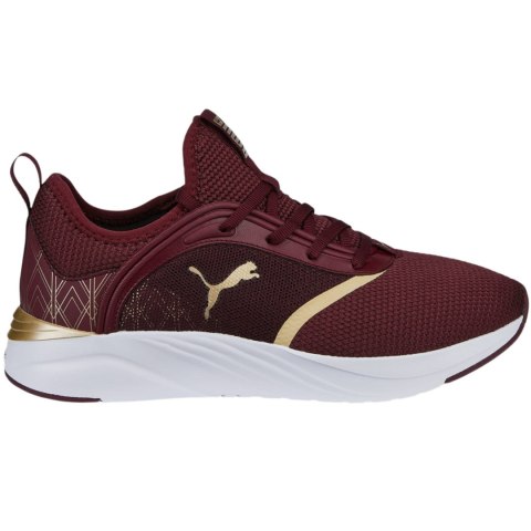 Puma Buty damskie Puma Softride Ruby Deco Glam bordowe 377052 02