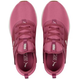 Puma Buty damskie Puma Softride Ruby różowe 377050 04