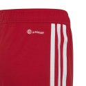 Adidas teamwear Spodenki dla dzieci adidas Tiro 23 League czerwone IB8092