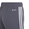 Adidas teamwear Spodenki dla dzieci adidas Tiro 23 League szare IB8102