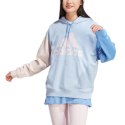 Adidas Bluza damska adidas Essentials Big Logo Oversized French Terry Hoodie IC9870