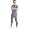 Adidas teamwear Spodnie męskie adidas Tiro 24 Training szare IV6945