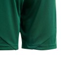 Adidas teamwear Spodenki dla dzieci adidas Tiro 24 zielone IT2409