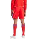 Adidas teamwear Spodenki męskie adidas Tiro 24 czerwone IT2416