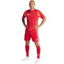 Adidas teamwear Spodenki męskie adidas Tiro 24 czerwone IR9379