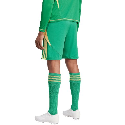 Adidas teamwear Spodenki męskie adidas Tiro 24 zielone IT2414 Adidas teamwear Spodenki męskie adidas Tiro 24 zielone IT2414