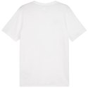Puma Koszulka męska Puma Team Goal Casuals Tee biała 658615 04
