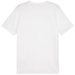 Puma Koszulka męska Puma Team Goal Casuals Tee biała 658615 04