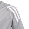 Adidas teamwear Koszulka dla dzieci adidas Tiro 24 Jersey szara IS1031