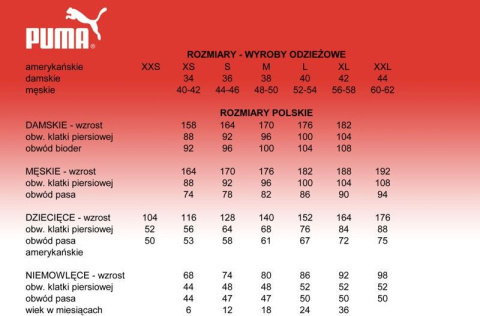 Puma Koszulka męska Puma teamGOAL 23 Casuals Tee biała 656578 04 Puma Koszulka męska Puma teamGOAL 23 Casuals Tee biała 656578 04