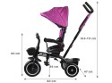 Rowerek trójkołowy Tiny Bike 3w1 różowy z daszkiem SP0650 różowy