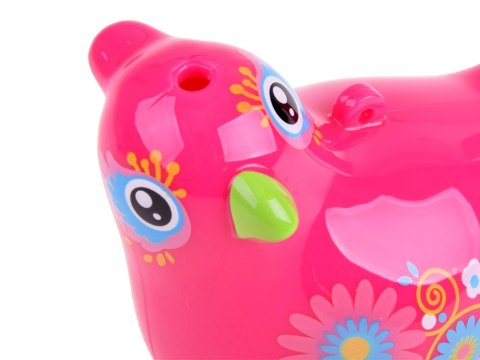Ptaszek Gwizdek wodny Water Bird birds ZA1483 Ptaszek Gwizdek wodny Water Bird birds ZA1483