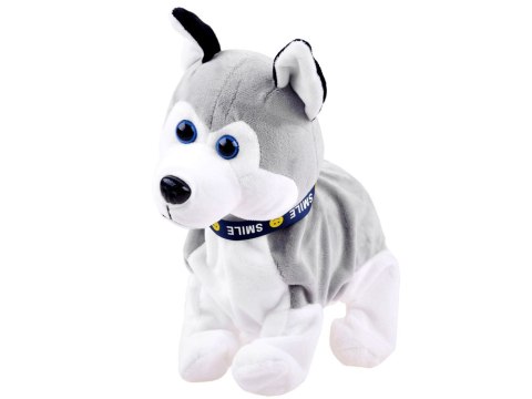 Interaktywny piesek Husky reaguje na dotyk ZA1333 Interaktywny piesek Husky reaguje na dotyk ZA1333