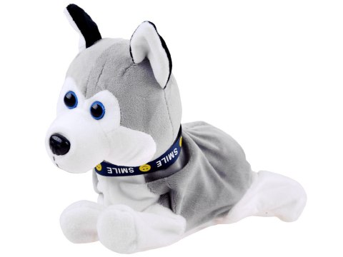 Interaktywny piesek Husky reaguje na dotyk ZA1333 Interaktywny piesek Husky reaguje na dotyk ZA1333