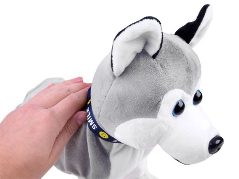 Interaktywny piesek Husky reaguje na dotyk ZA1333 Interaktywny piesek Husky reaguje na dotyk ZA1333