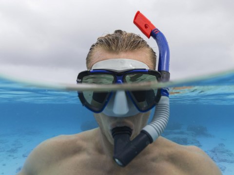 Bestway Zestaw do snorkelingu Maska z rurką do pływania 14+ 24053 Bestway Zestaw do snorkelingu Maska z rurką do pływania 14+ 24053