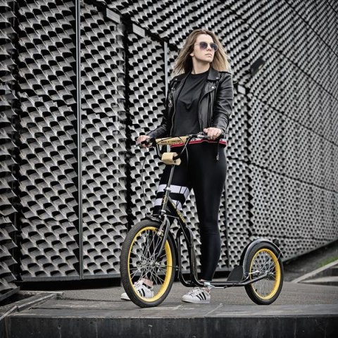 NILS EXTREME WH200 BLACK/GOLD 20/16'' HULAJNOGA Z POMP. KOŁAMI NILS EXTREME NILS EXTREME WH200 BLACK/GOLD 20/16'' HULAJNOGA Z POMP. KOŁAMI NILS EXTREME