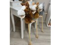 Hobby Horse Koń na patyku Dźwięk galopu i rżenia + ruchomy pysk ZA5442 Hobby Horse Koń na patyku Dźwięk galopu i rżenia + ruchomy pysk ZA5442